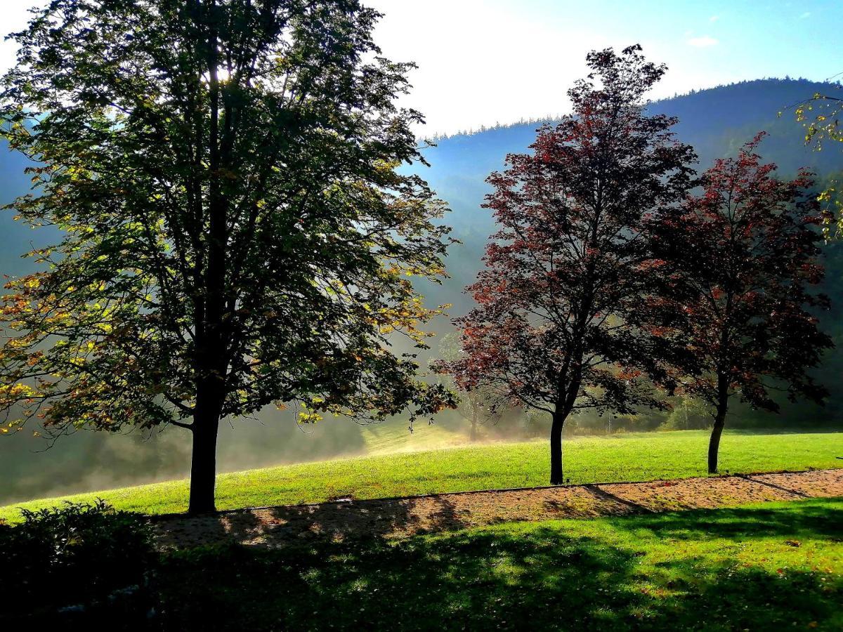 Landsitz Oberhof Petit Hotel Muggendorf  外观 照片