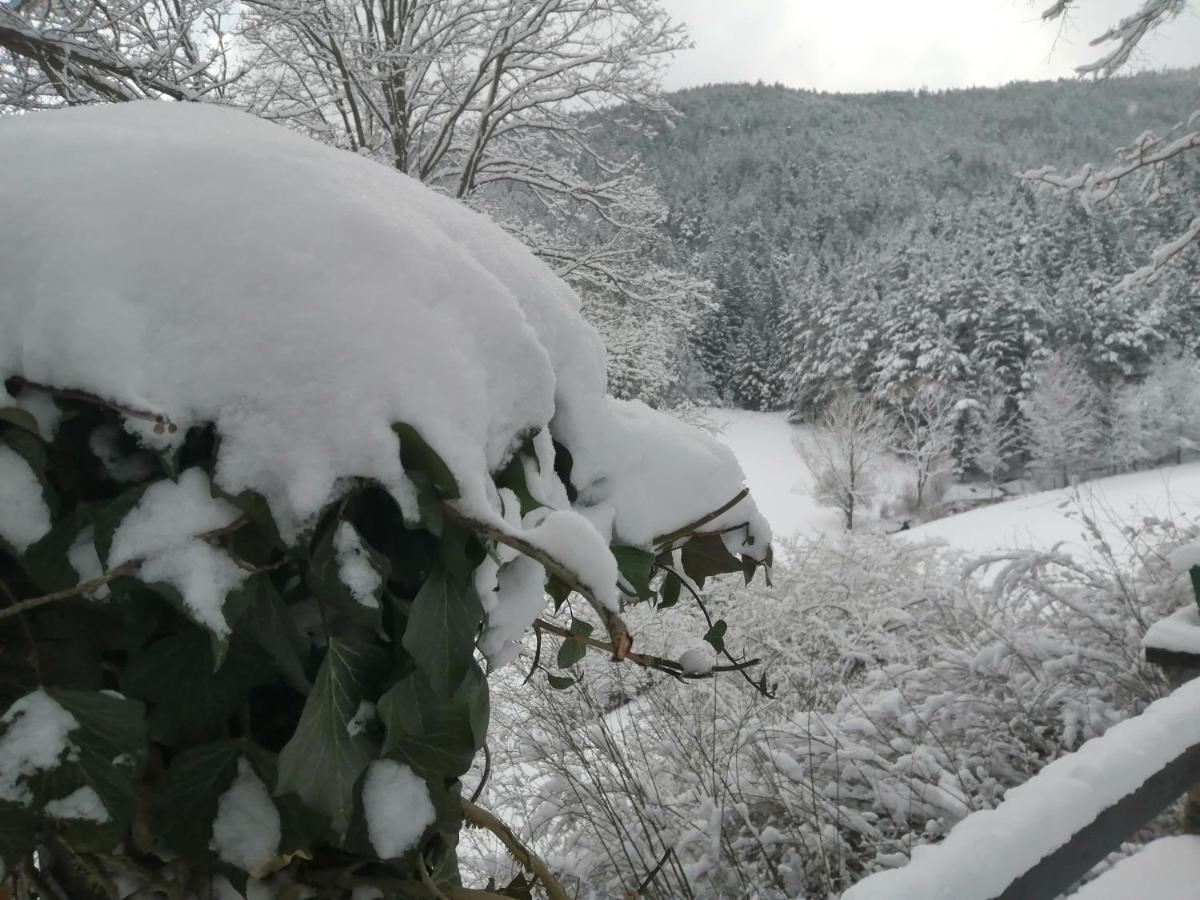Landsitz Oberhof Petit Hotel Muggendorf  外观 照片